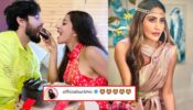 Monalisa celebrates wedding anniversary with husband, Surbhi Chandna loves it