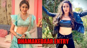 Naagin 5 spoiler alert: Bani’s look-alike Rani to have a dhamakedaar entry