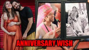 Nakuul Mehta’s romantic anniversary wish for wife Jankee will melt your heart
