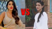 Nia Sharma Or Mallika Singh: Which Diva Has The most attractive Ethnic Outfits?