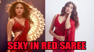 Nushrat Bharucha Or Janhvi Kapoor: Which Diva Hads The Attractive Red Saree Look?
