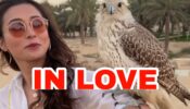 OMG: Bengali beauty Mimi Chakraborty falls in love on her Dubai trip, wants to bring home ‘someone special’