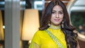 Pallavi Subhash, From Model To Actress: Know The Journey