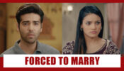 Pandya Store Spoiler Alert: Gautam under pressure to marry Anita