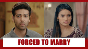Pandya Store Spoiler Alert: Gautam under pressure to marry Anita
