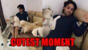 Parth Samthaan reveals cutest moment of 2020, fans love it