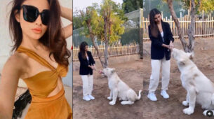 Pet Love: Naagin beauty Mouni Roy plays with an adorable white Tiger, fans go ‘aww’