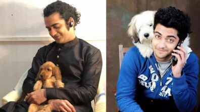 Pet Love: RadhaKrishn fame Sumedh Mudgalkar is a dog lover in real life