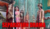 RadhaKrishn spoiler alert: Sambh successfully separates Krishna and Radha