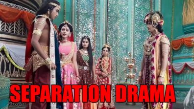 RadhaKrishn spoiler alert: Sambh successfully separates Krishna and Radha