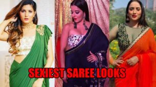 Sapna Choudhary, Monalisa Or Rani Chatterjee: Which Bhojpuri Diva Has The Attractive Saree Looks?