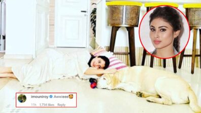 Serial Chillers: Pregnant Anushka Sharma shares cute pic with her pet, Mouni Roy comments ‘awwiee’