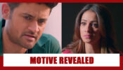 Shaadi Mubarak Spoiler Alert: Nandini’s real motive behind ruining KT REVEALED