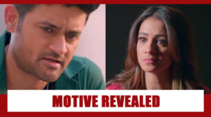 Shaadi Mubarak Spoiler Alert: Nandini’s real motive behind ruining KT REVEALED