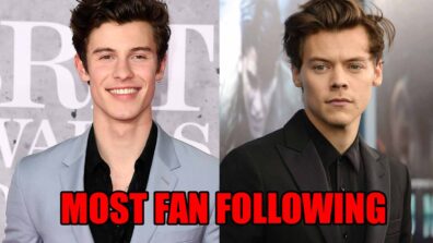 Shawn Mendes Or Harry Styles: Which Artist Has The Most Fan Following?