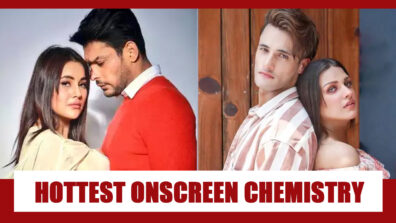 Shehnaaz Gill-Sidharth Shukla Or Himanshi Khurana-Asim Riaz: Hottest Onscreen Chemistry