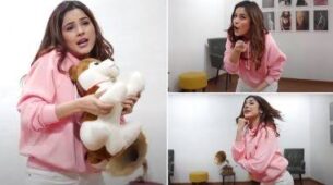 Shehnaaz Gill’s Qismat Ki Hawa Kabhi Naram Kabhi Garam becomes a trendsetter