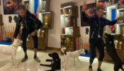 Shikhar Dhawan Does the Bhangra With His Dogs: See Here