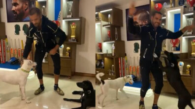 Shikhar Dhawan Does the Bhangra With His Dogs: See Here