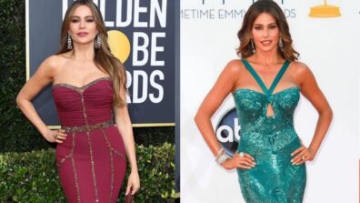 Sofia Vergara’s 7 Hottest Red Carpet Outfits You Would Wish To Steal For Yourself