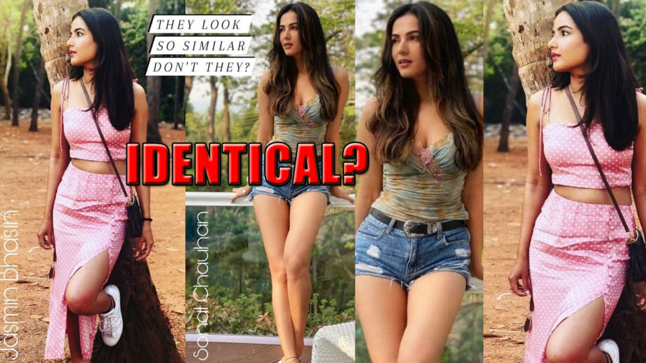 Sonal Chauhan & Jasmin Bhasin: Take A Look At The Most Identical Pic Of The Hot Divas 299644