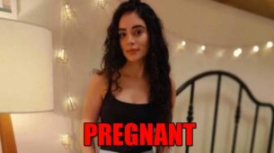 Story 9 Months Ki spoiler alert: Alia to get PREGNANT