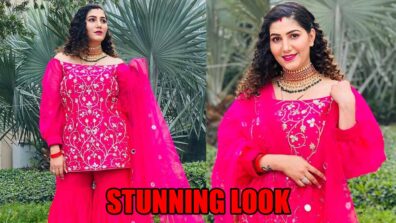 Stunning!!! Sapna Choudhary’s Latest Pink Traditional Fit Will Make You Fall Head Over Heels: Take A Look