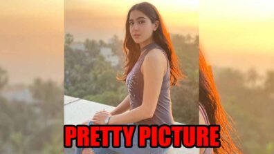 Sunset Glow: Sara Ali Khan sets the internet on fire with her latest picture