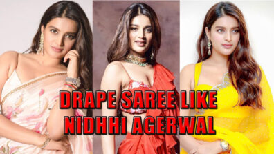 Take Cues From Nidhhi Agerwal On How To Drape Your Saree Like A Celebrity