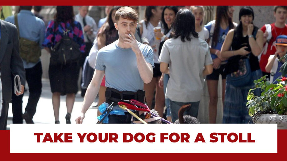 Take Your Dog For A Stroll In Daniel Radcliffe Style: See How It Is Done 296196