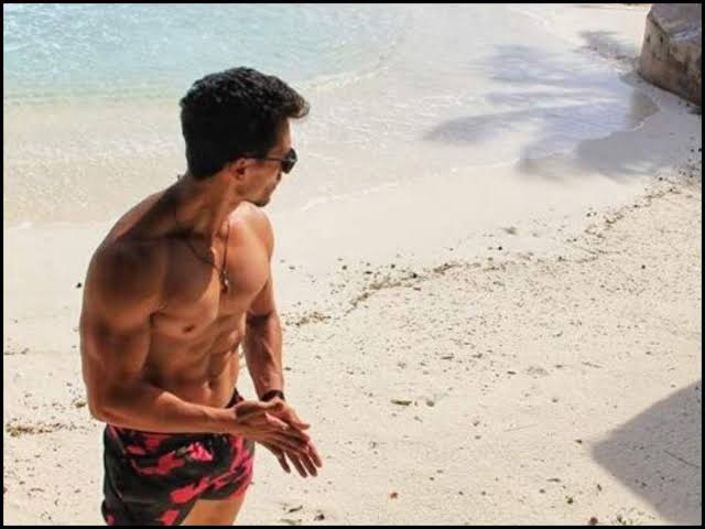 Tiger Shroff and Disha Patani’s attractive BEACH PHOTOS that give us Serious Fitness Goals - 1