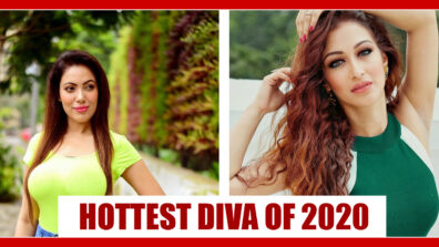 TMKOC Munmun Dutta Or Sunayana Fozdar: Which Diva Looked the Hottest In 2020