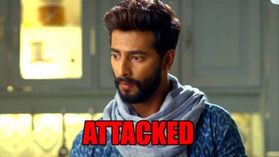 Tujhse Hai Raabta spoiler alert: Shera to get ATTACKED