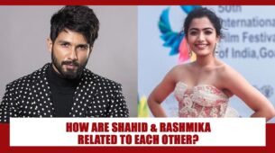 Unknown Secret Connection Between Tollywood Actress Rashmika Mandanna And Shahid Kapoor