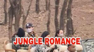 Unseen Photo: What are lovebirds Ranbir Kapoor and Alia Bhatt doing in the middle of jungle?