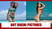 Urvashi Rautela’s HOTTEST Bikini Photos That Went Viral On Social Media
