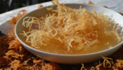 What is sea moss and why should you include it in your daily diet?