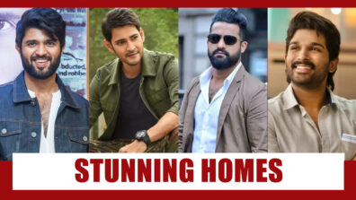 Vijay Deverakonda, Mahesh Babu, Allu Arjun, NTR Jr: Lavish Stylish Stunning Homes