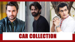 Vivian Dsena, Barun Sobti, Mohsin Khan: Stunning Car Collection
