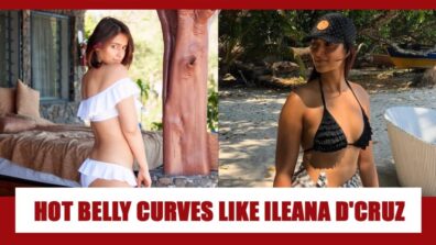 Want belly curves like Ileana D’Cruz? Check Out Photos Below for Inspiration