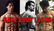 We Promise You These Bare Body Looks Of Tiger Shroff Are Something To Fall For: Have A Look