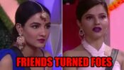 Why Did Jasmin Bhasin Say She Never Want To Be Friends With Rubina Dilaik: Know What Happened