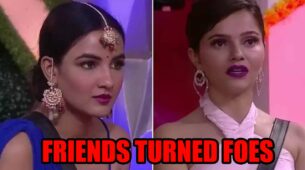 Why Did Jasmin Bhasin Say She Never Want To Be Friends With Rubina Dilaik: Know What Happened