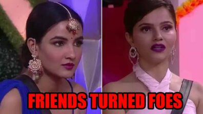 Why Did Jasmin Bhasin Say She Never Want To Be Friends With Rubina Dilaik: Know What Happened