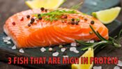 3 Fishes Which Are High In Protein