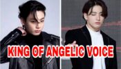 5 Reasons Why BTS Jungkook Is The King Of Angelic Voice