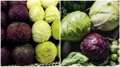 Red Cabbage VS Green Cabbage: Which One’s Healthier?