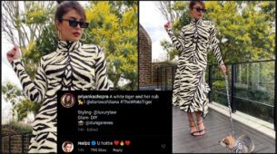 A white tiger & her cub: Priyanka Chopra takes her cute dog for a stroll in the streets of London, Preity Zinta calls her ‘hot’