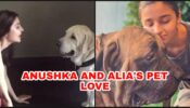 ANIMAL LOVE: Anushka Sharma and Alia Bhatt are pet lovers in Real Life And These Photos Are Proof