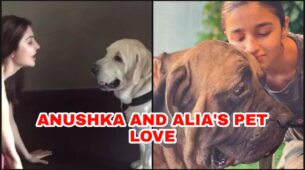 ANIMAL LOVE: Anushka Sharma and Alia Bhatt are pet lovers in Real Life And These Photos Are Proof